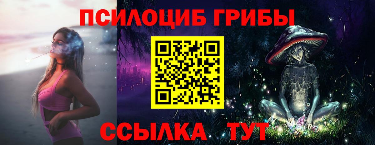 Элиста  Псилоцибиновые грибы Psilocybine cubensis  Вход с VPN 
